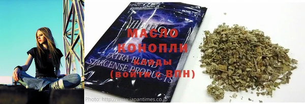 амф Верхний Тагил