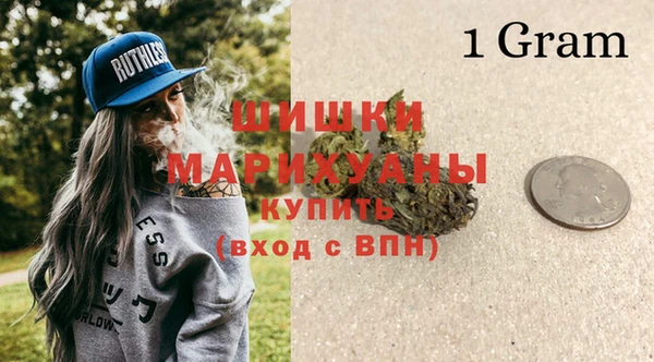 амф Верхний Тагил