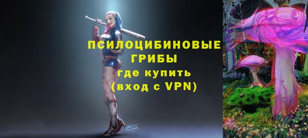 амф Верхний Тагил
