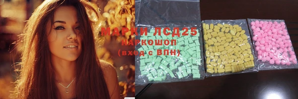амф Верхний Тагил