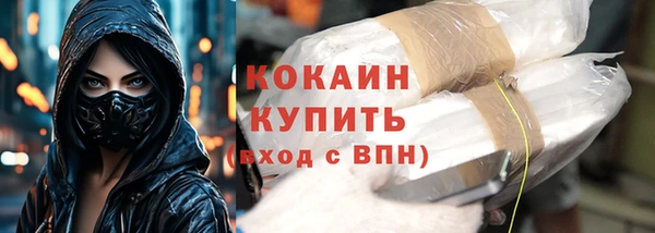 амф Верхний Тагил