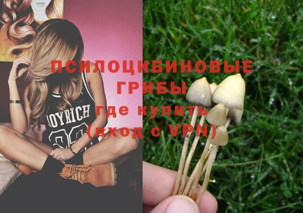 МДПВ Верхнеуральск