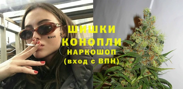 амф Верхний Тагил