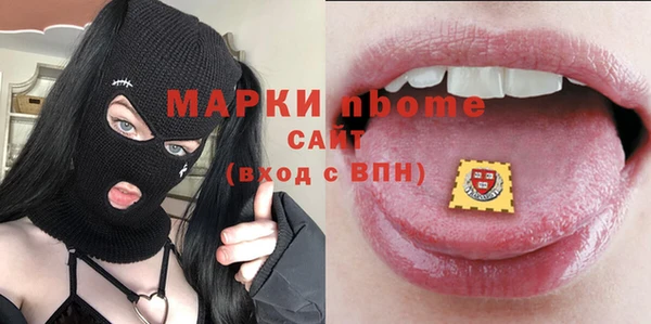 амф Верхний Тагил